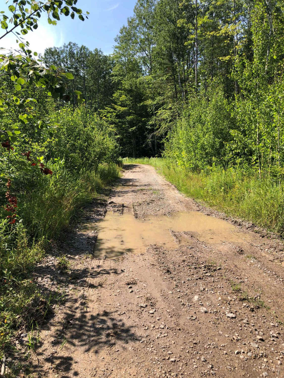 Vermeersch Trail