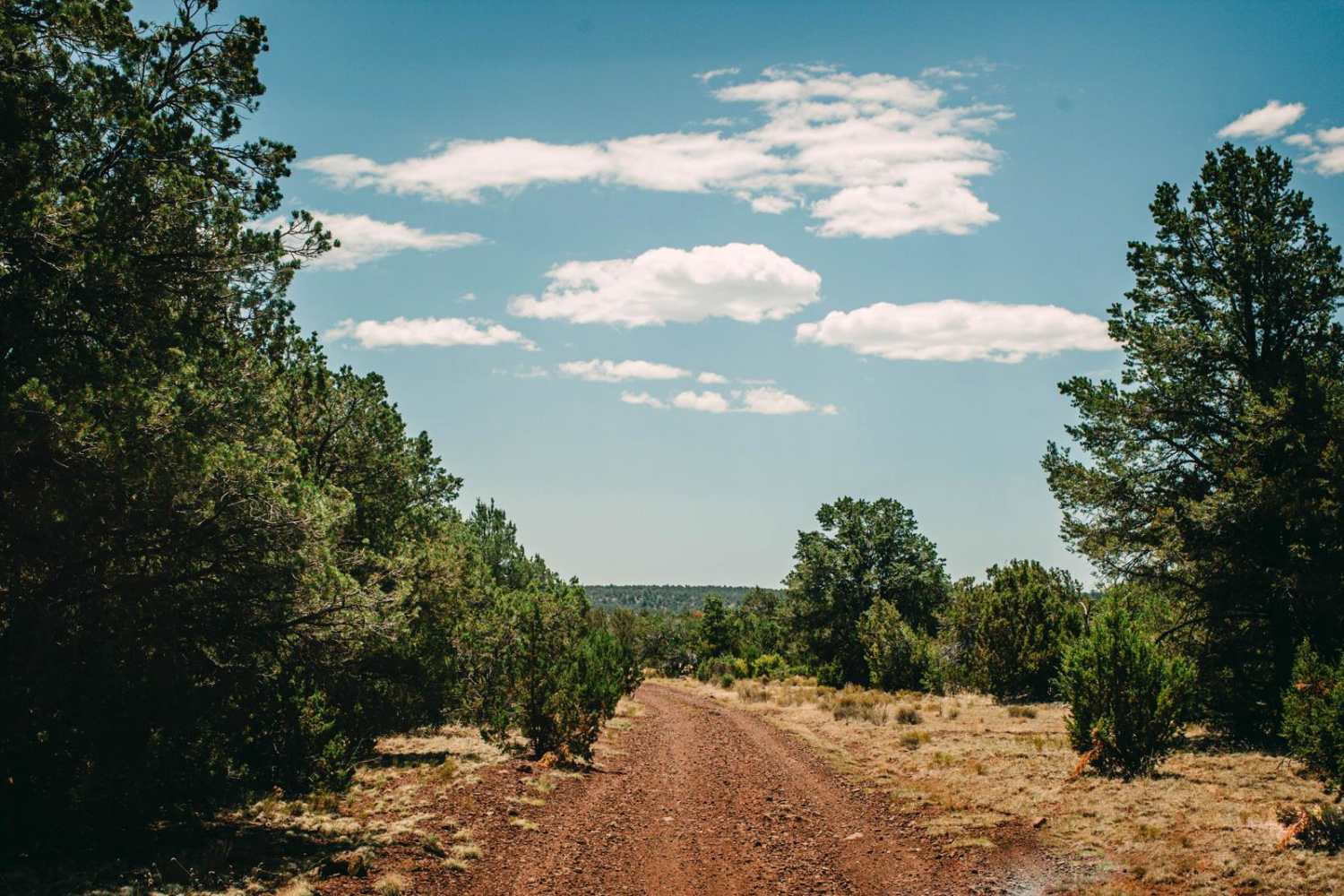 Old 115 Road