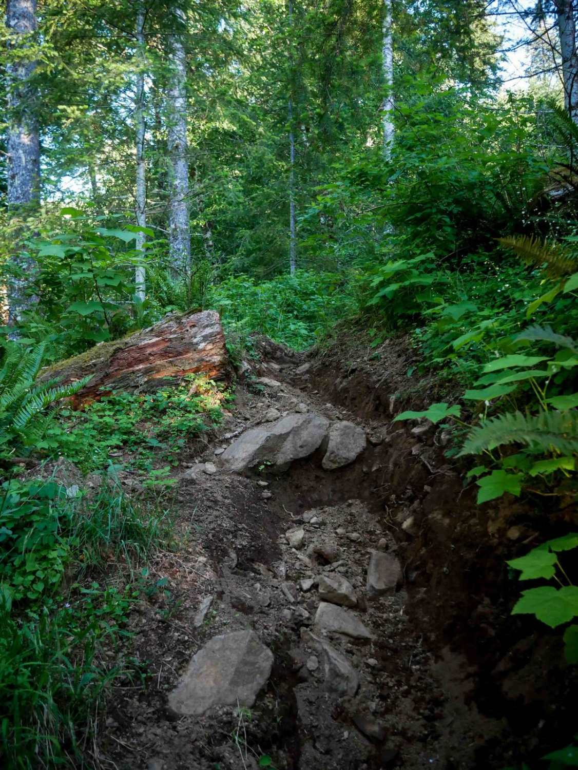 Beaverslide #52 (Extreme)