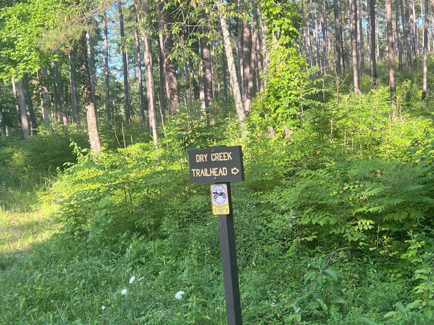 Dry Cr Branch B - Forest Road 226B