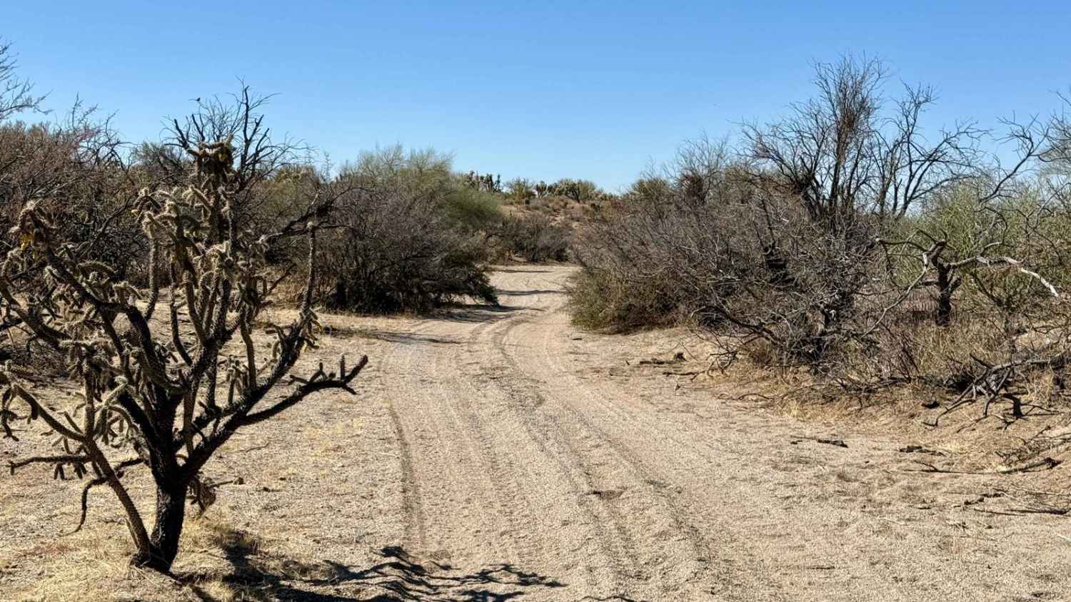 Goff Wash