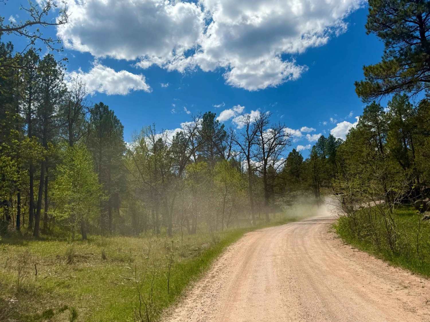 Storm Mountain Road - Coon Hollow