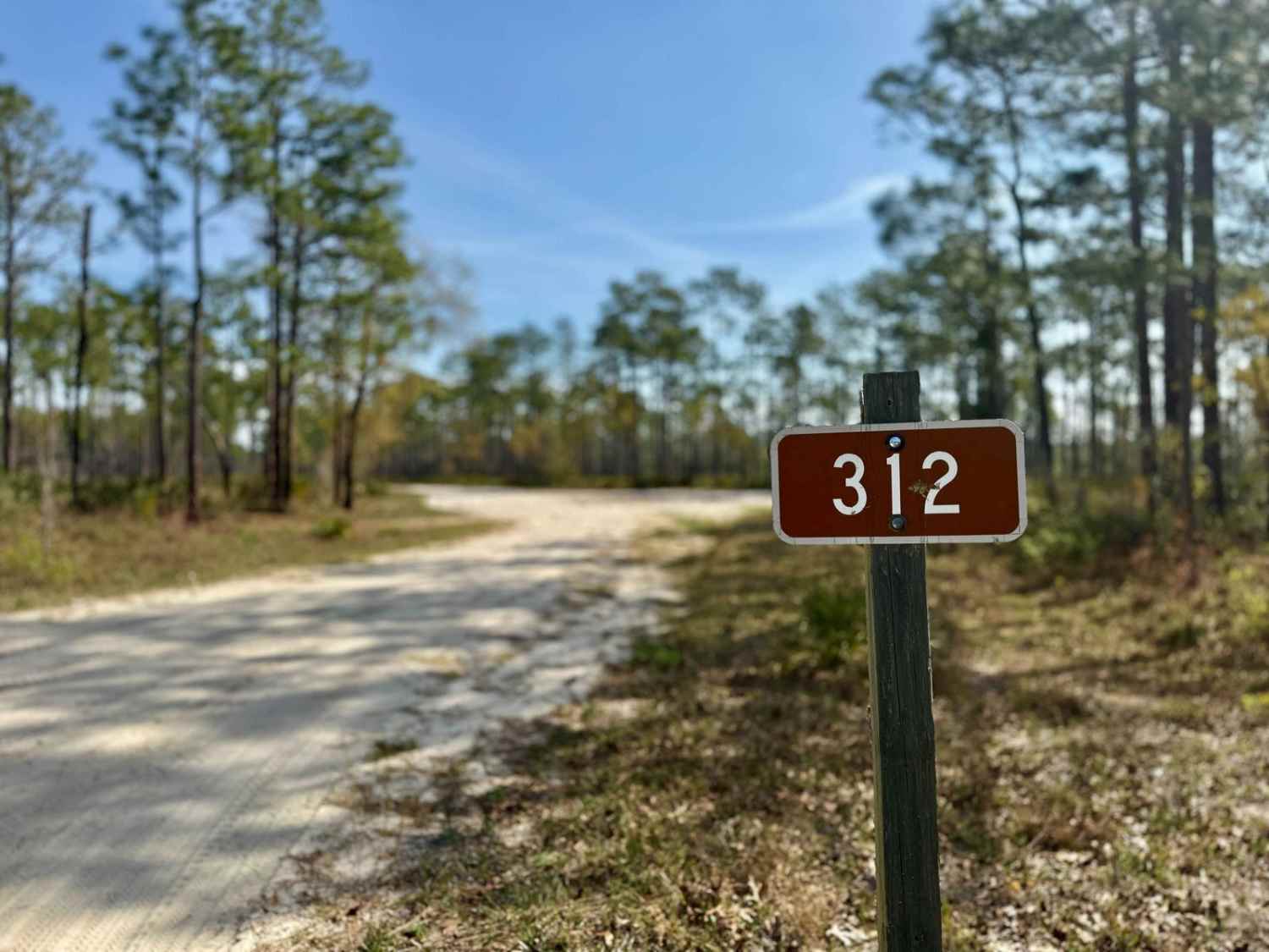 Ranger Trail - FS 312