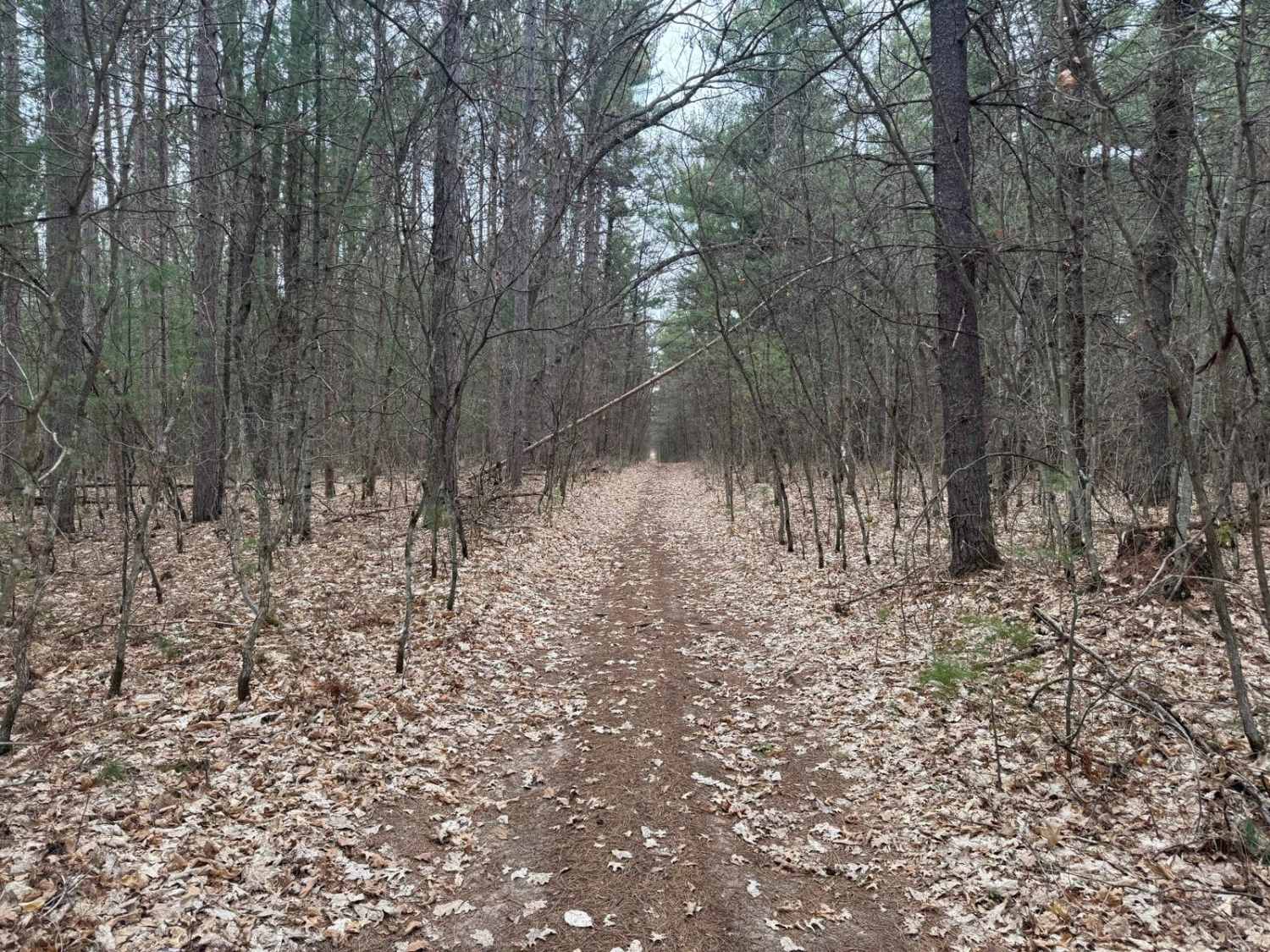 Traverse City ORV Route South