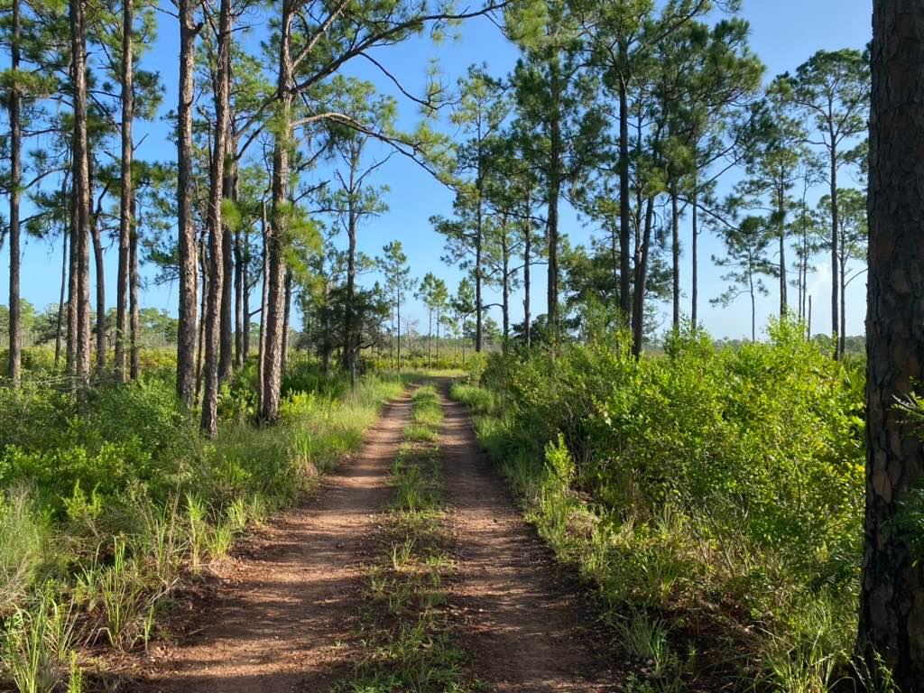 Lake Goodwin Road