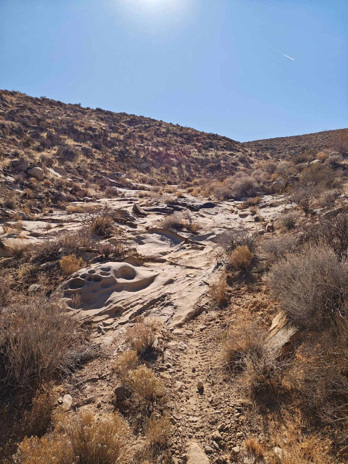 Flat Rock Canyon - Single Track