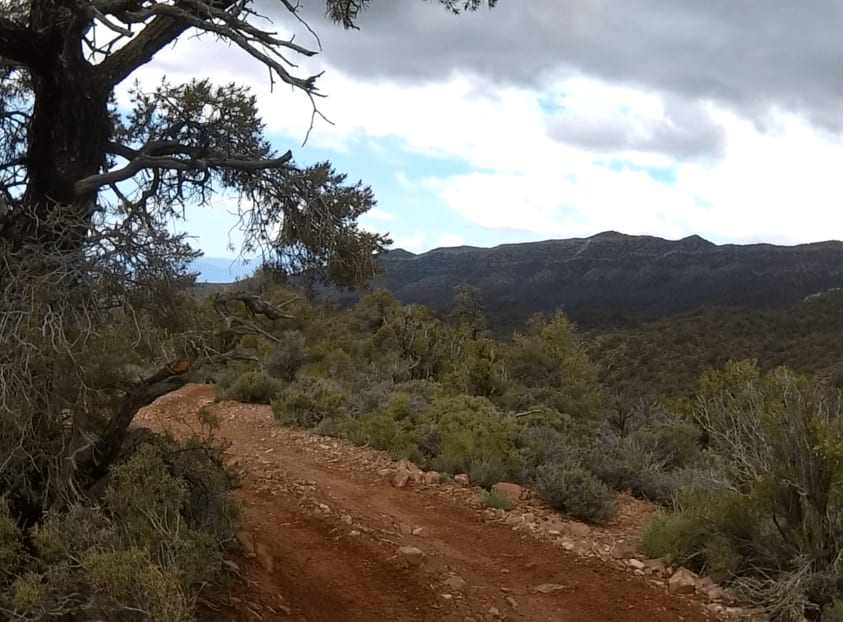 Spring Mountain Recreation Area - Side Trail 01