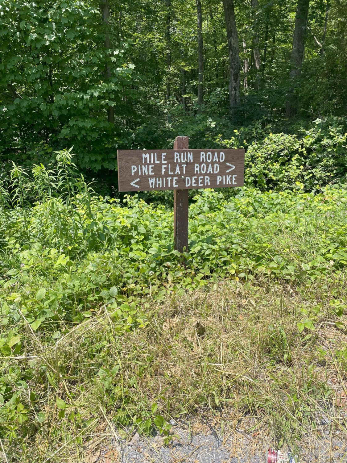 Mile Run Road