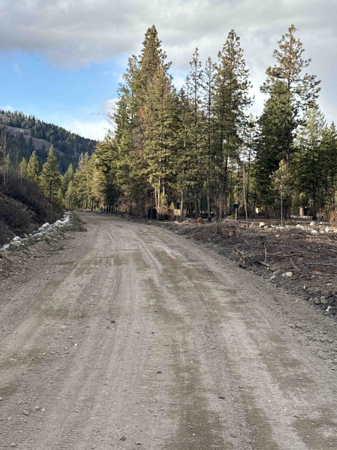 Bald Eagle Range FSR