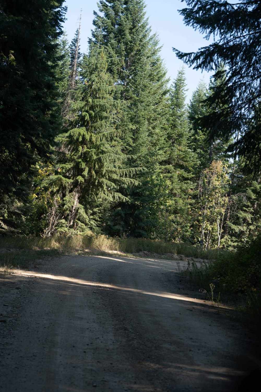 Potter Creek - FS 911