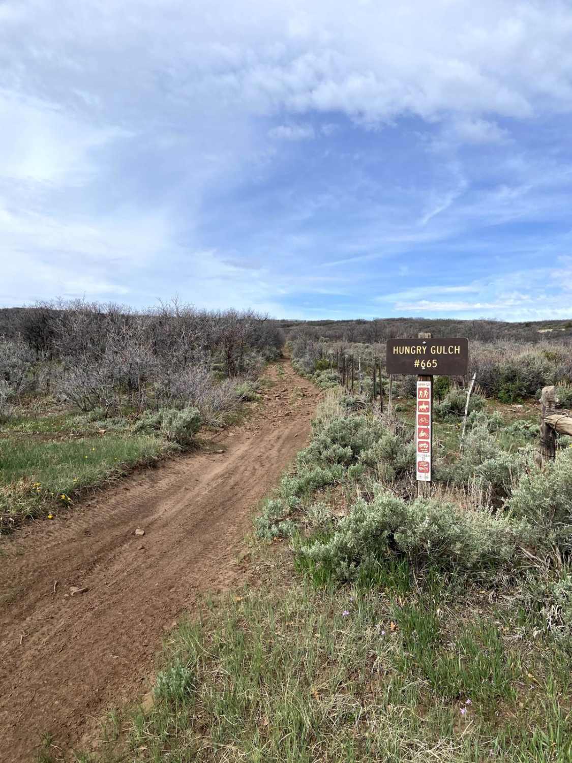 Hungry Gulch