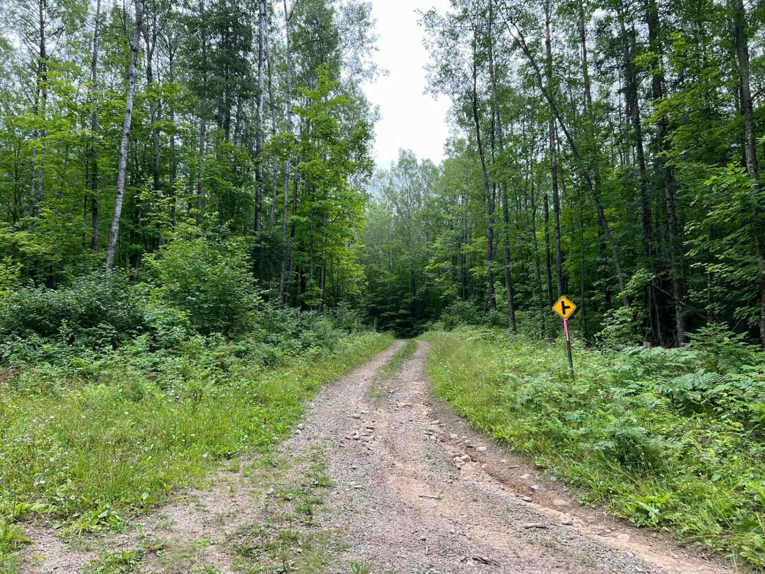 Snowmobile Trl Lkln Forest 55541
