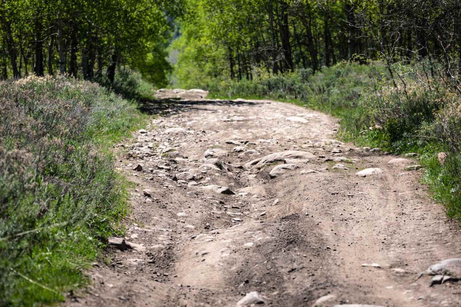 West Fork Duchesne - FR 70050