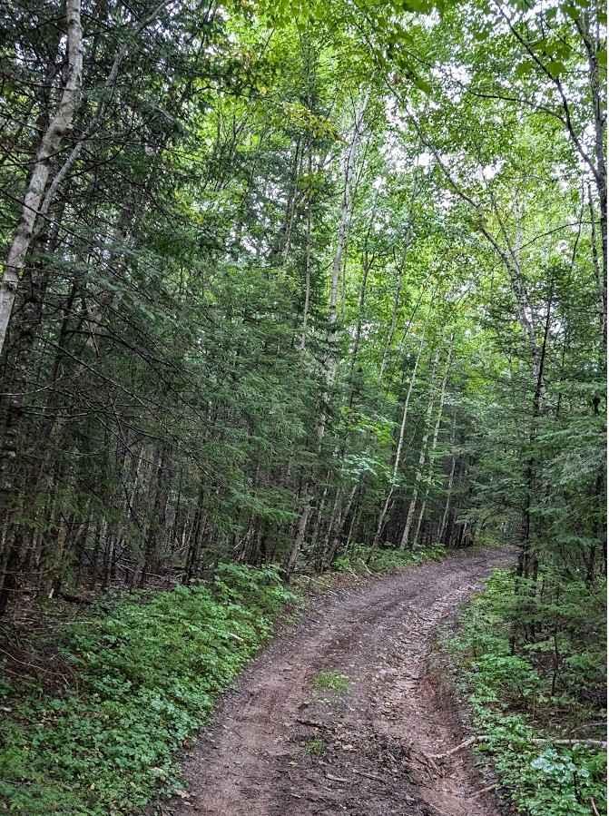 Gasline Shortcut