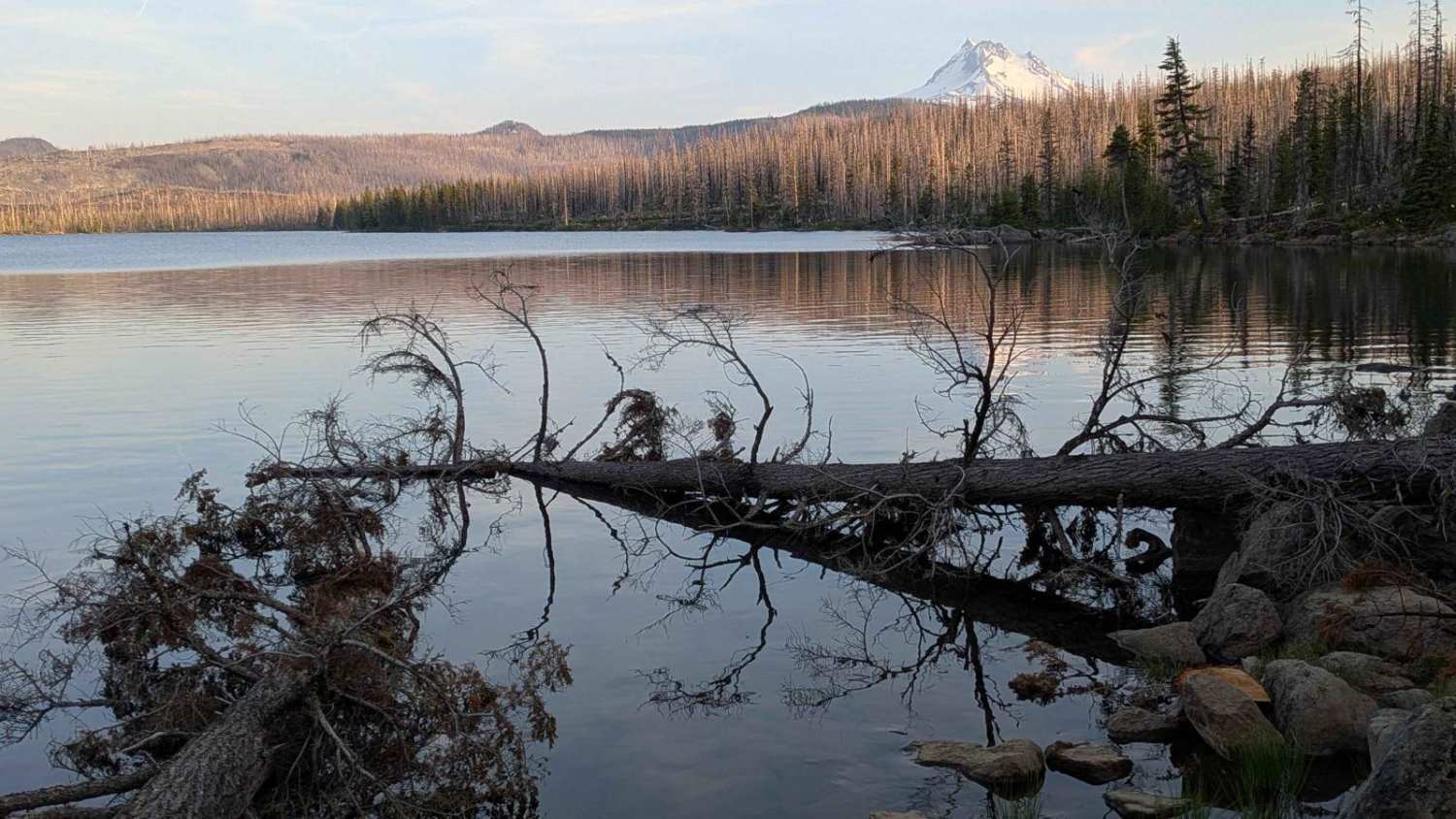 Monon and Horseshoe Lakes Trail