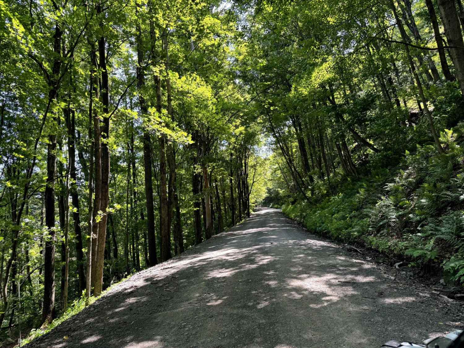 Howard Hill Road