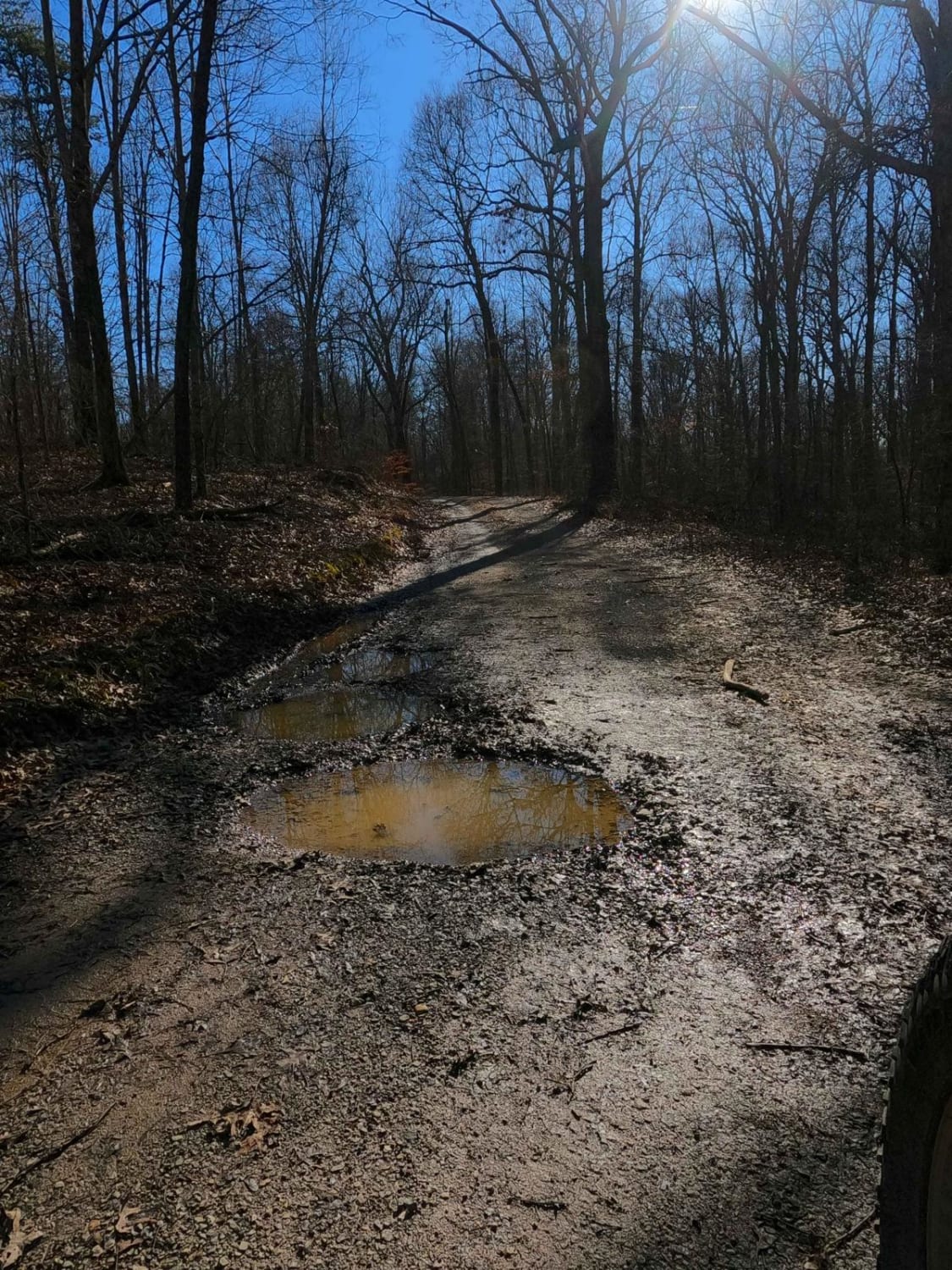 Gray Cemetery Road - FS 313