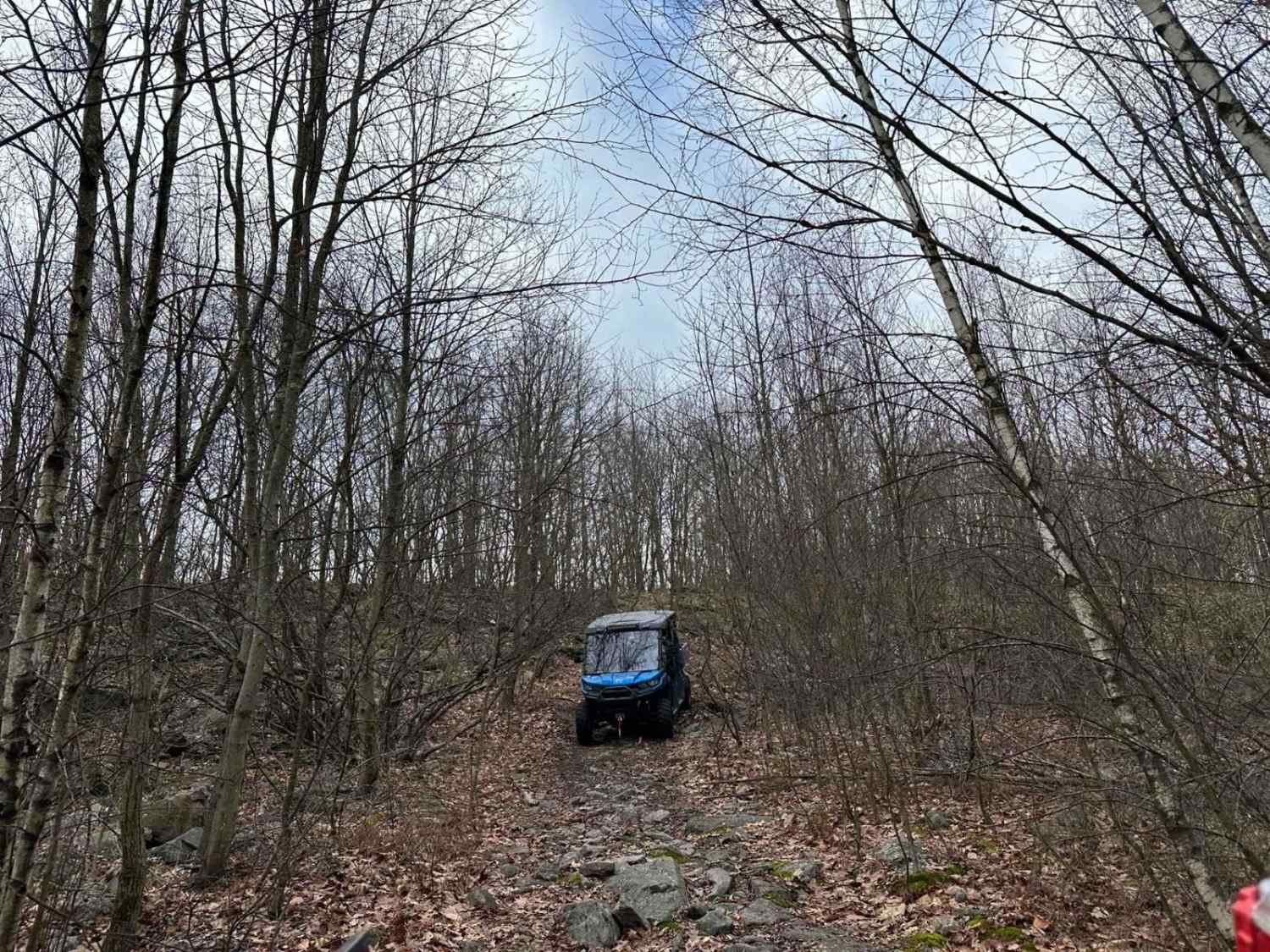 Locust Gap 74