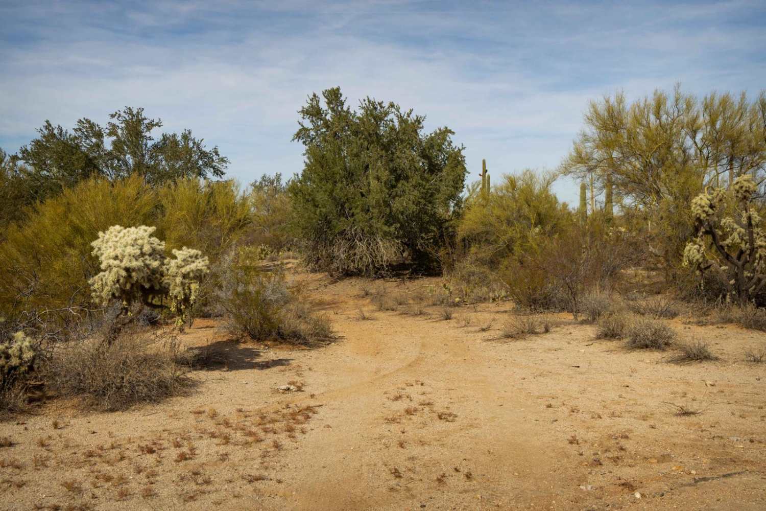 Iron Valley South