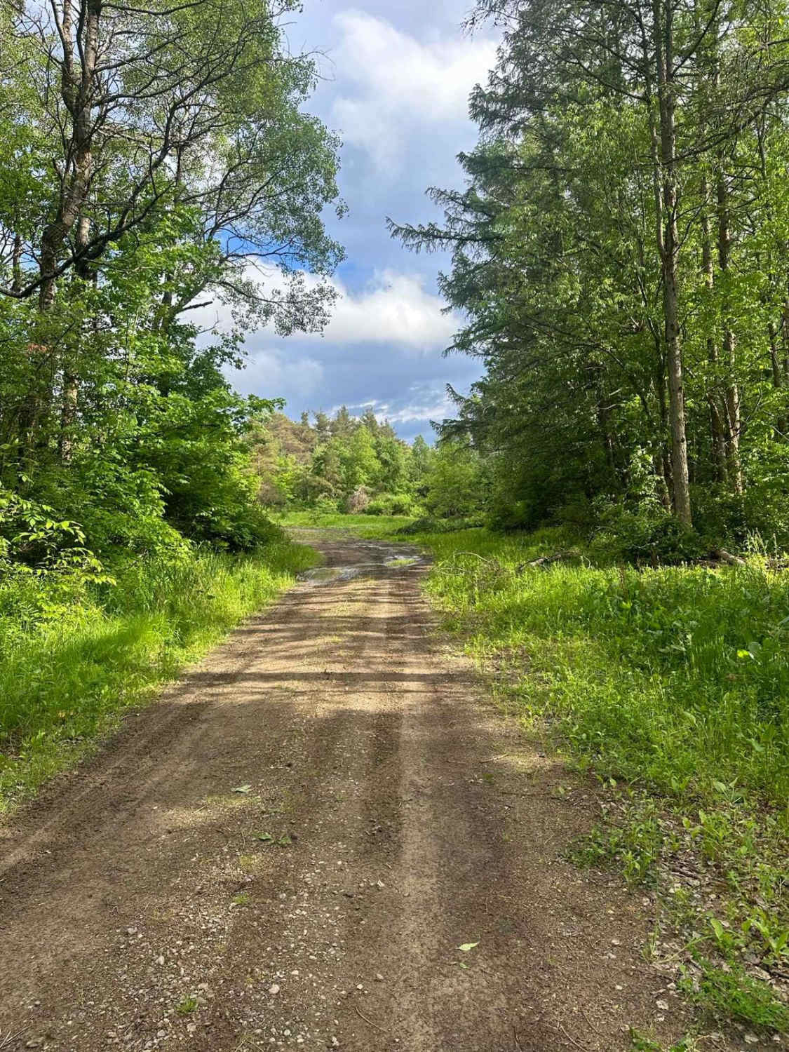 Runner Road (Seasonal)