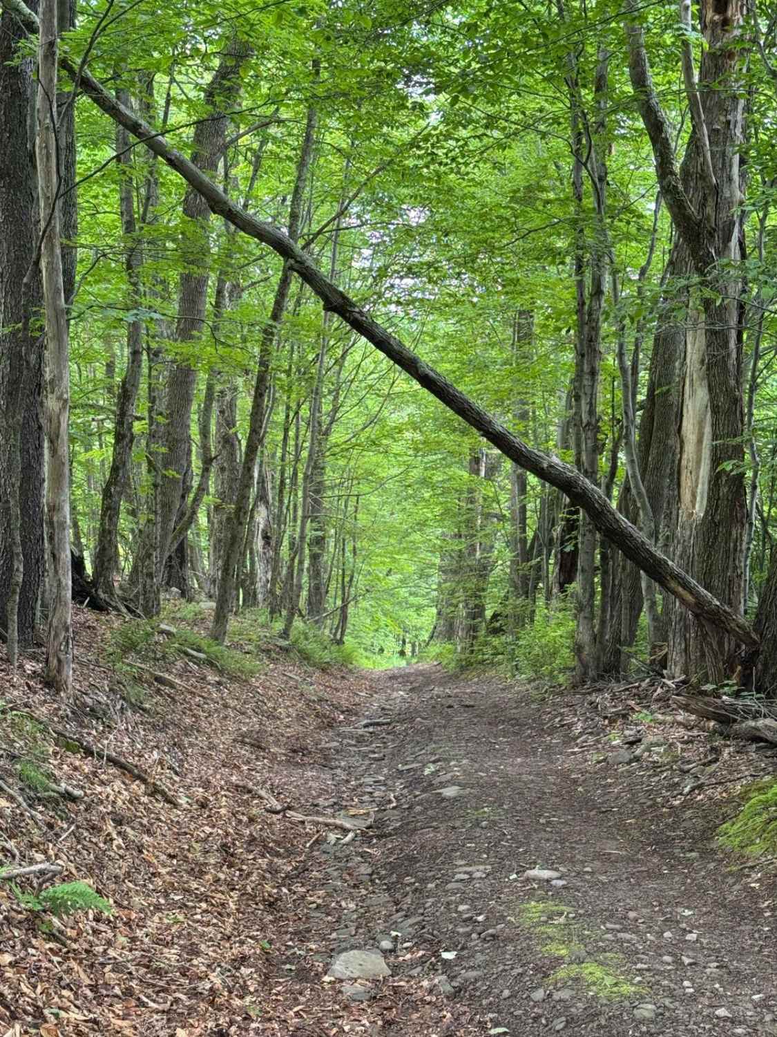 West Murphy Hill Road