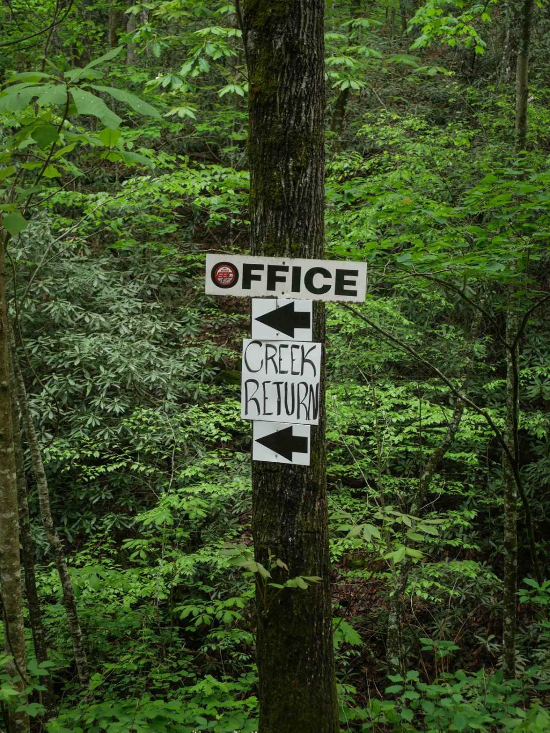 Creek Office Return