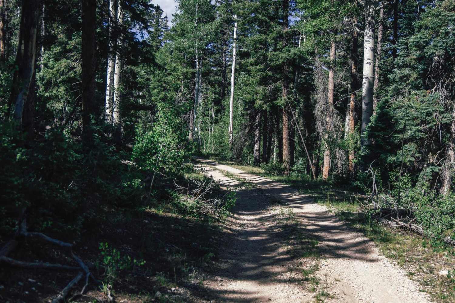 Tater Canyon