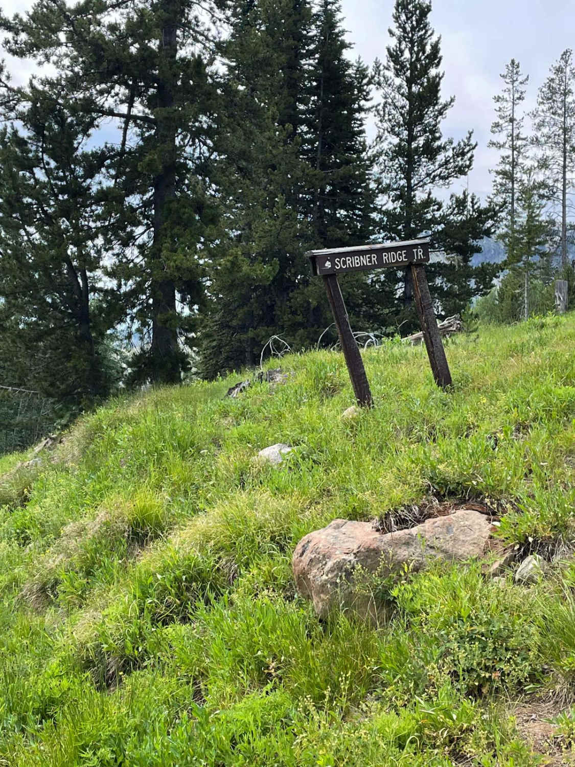 Scribner Ridge