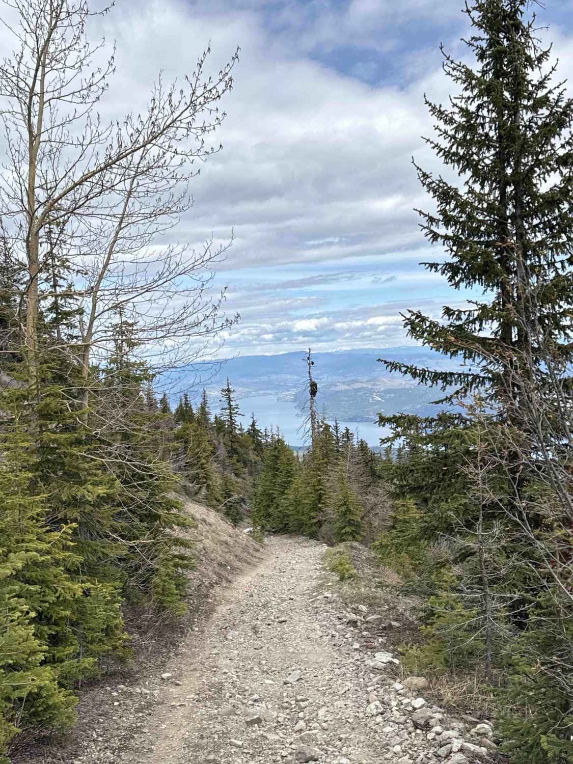 Terrace Mountain Road