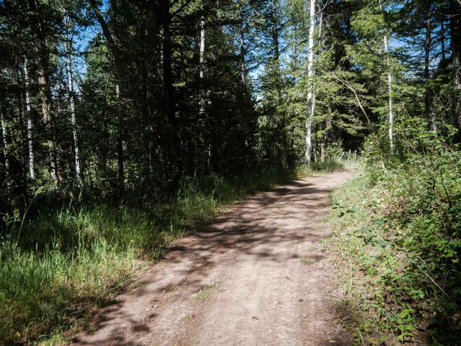 Harrington Peak Access #5233 