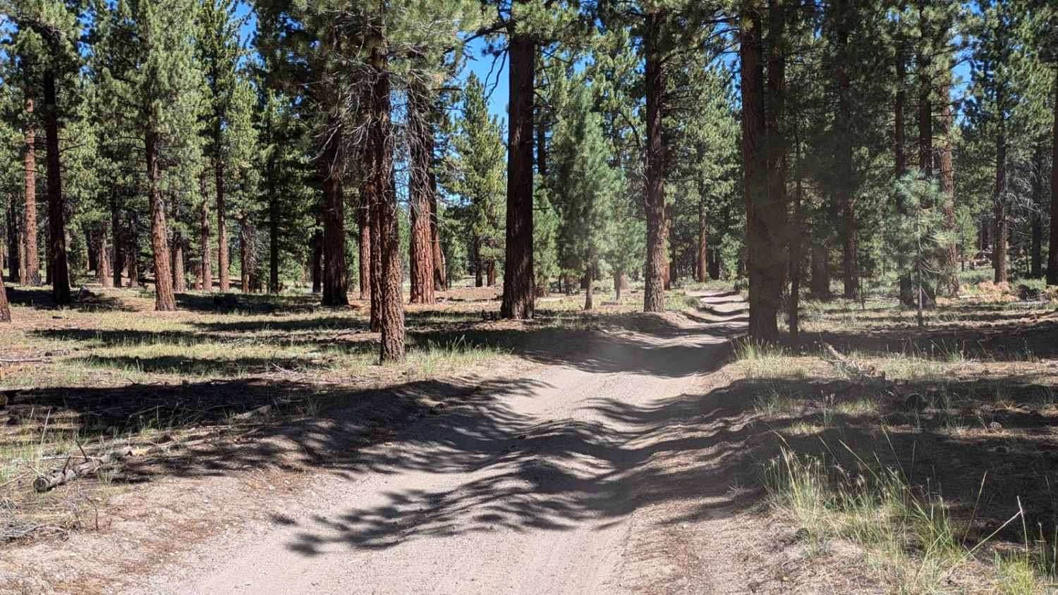 Deadman Loop