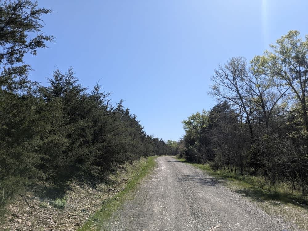 Ouachita National Forest Access Road