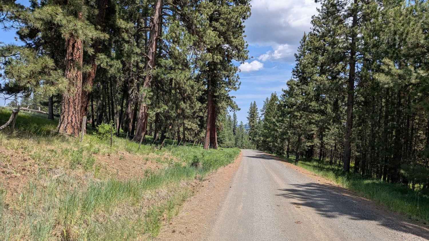 Wellamockin Road South NF46