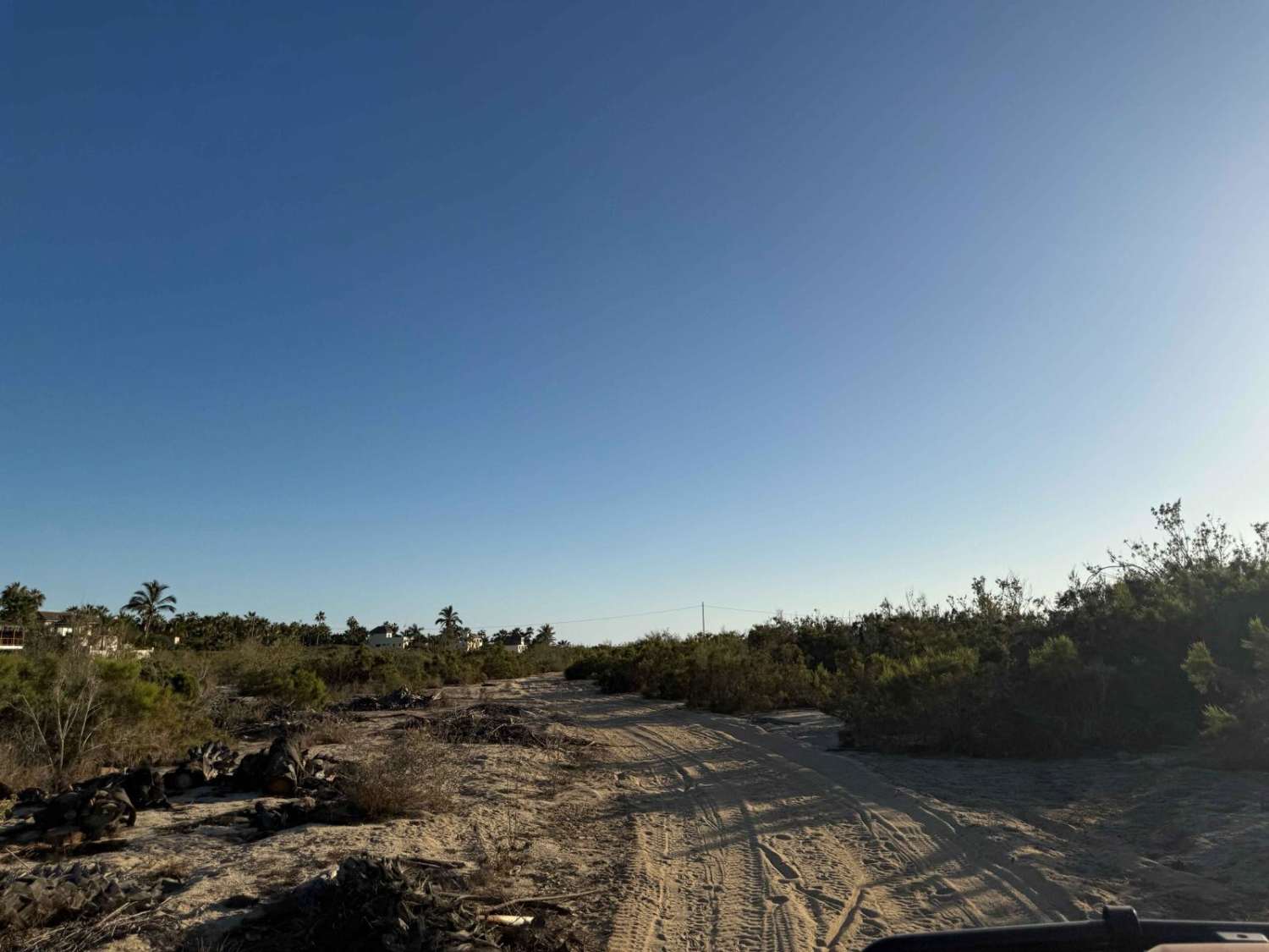 Whale Bone Road