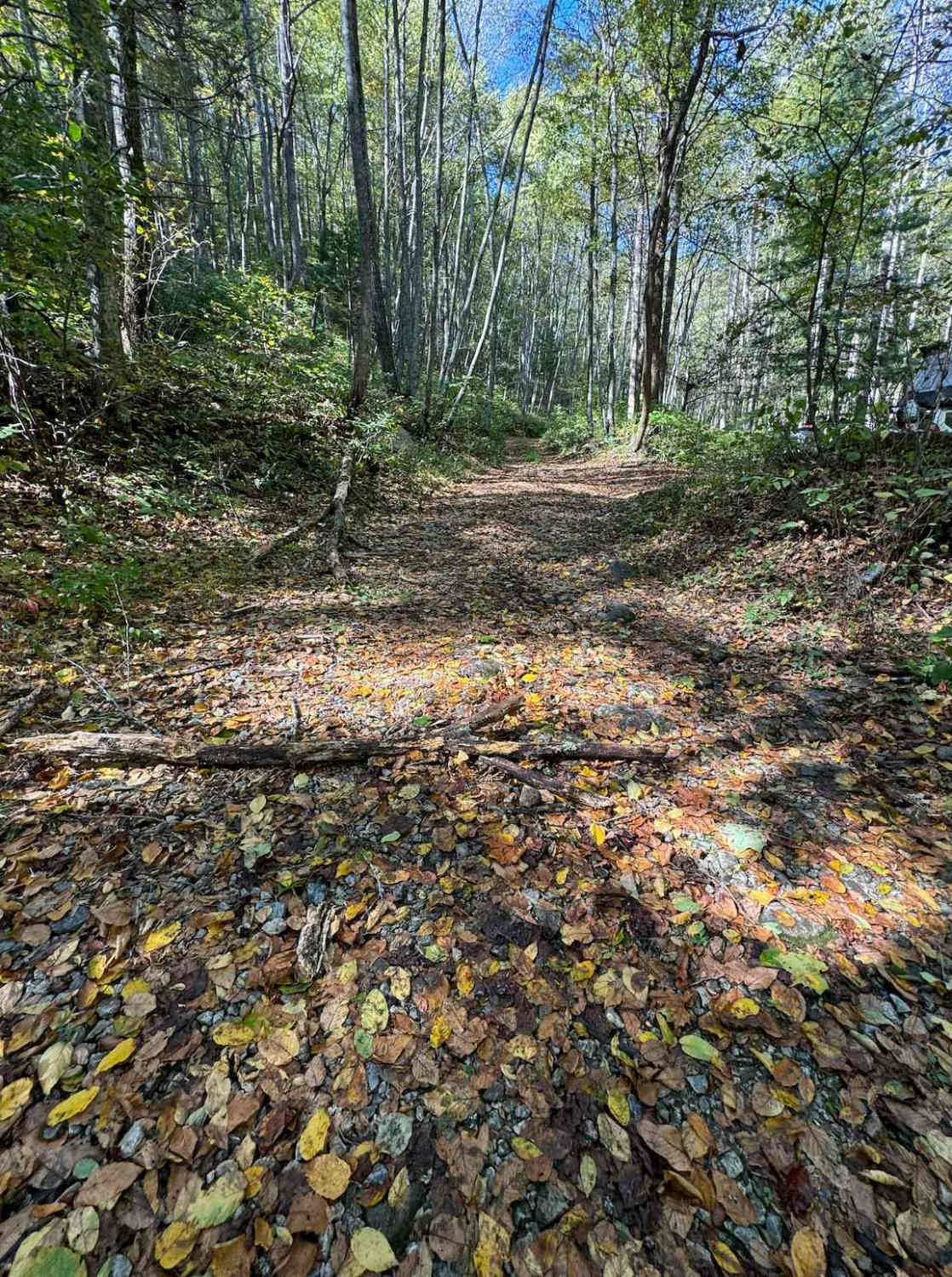 Shoe Creek