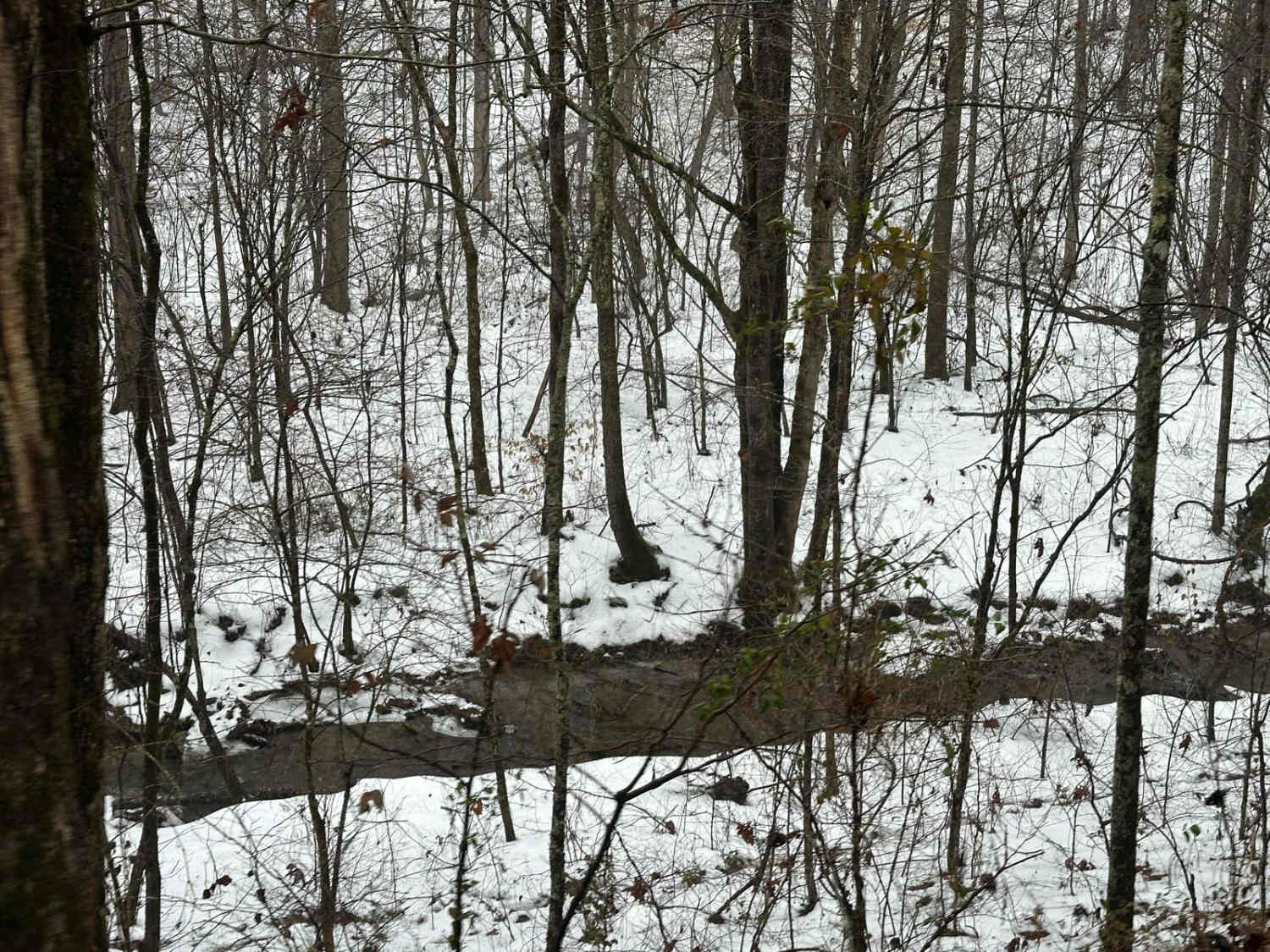 Lake Branch 3171