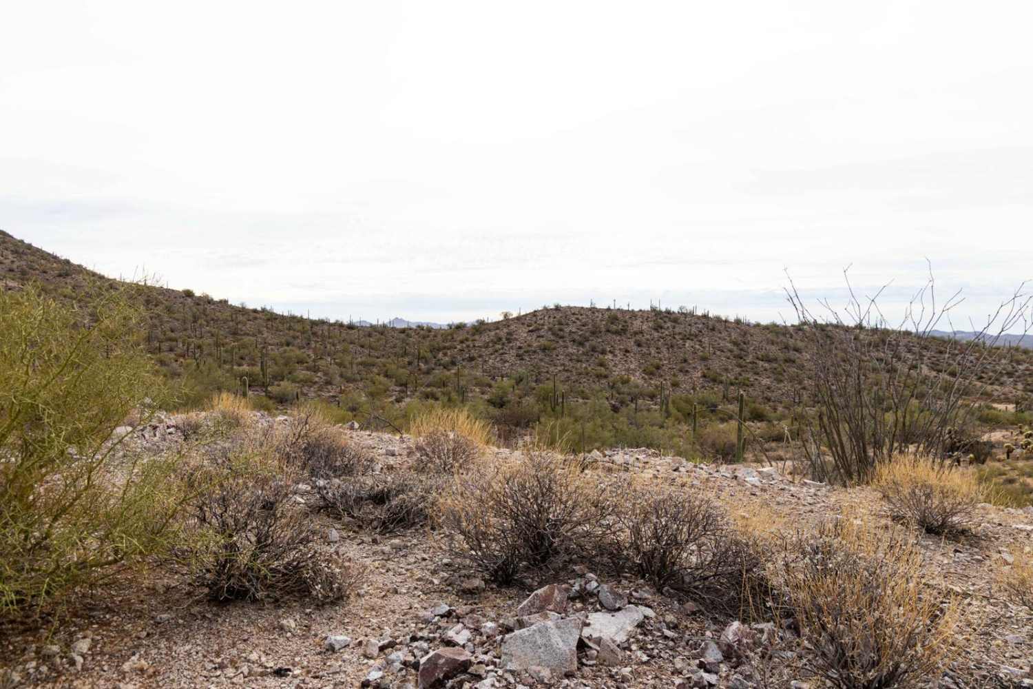 Browns Canyon and Mine Access