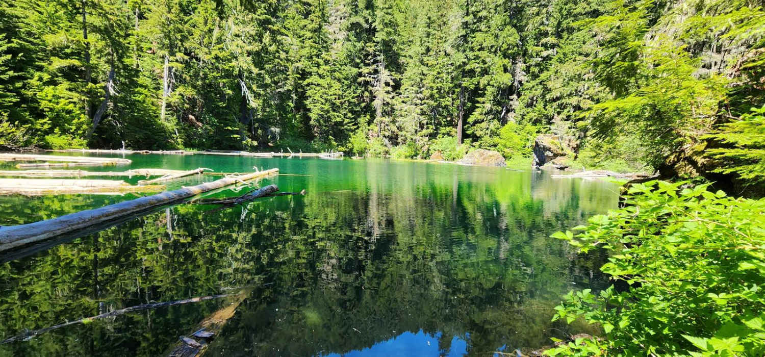 Goober Pond