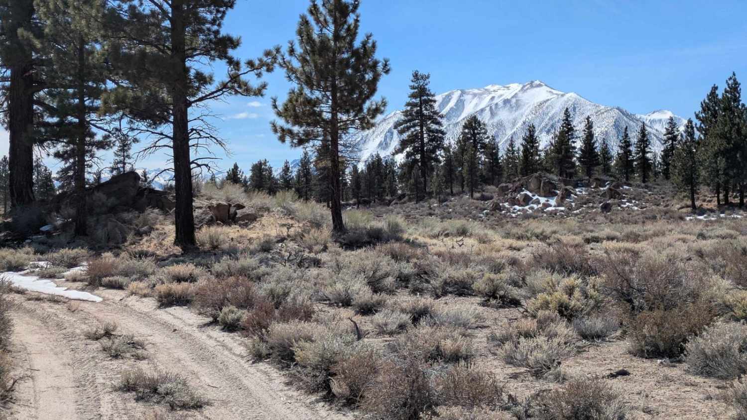 Round Mountain Cutoff - FS 4S67