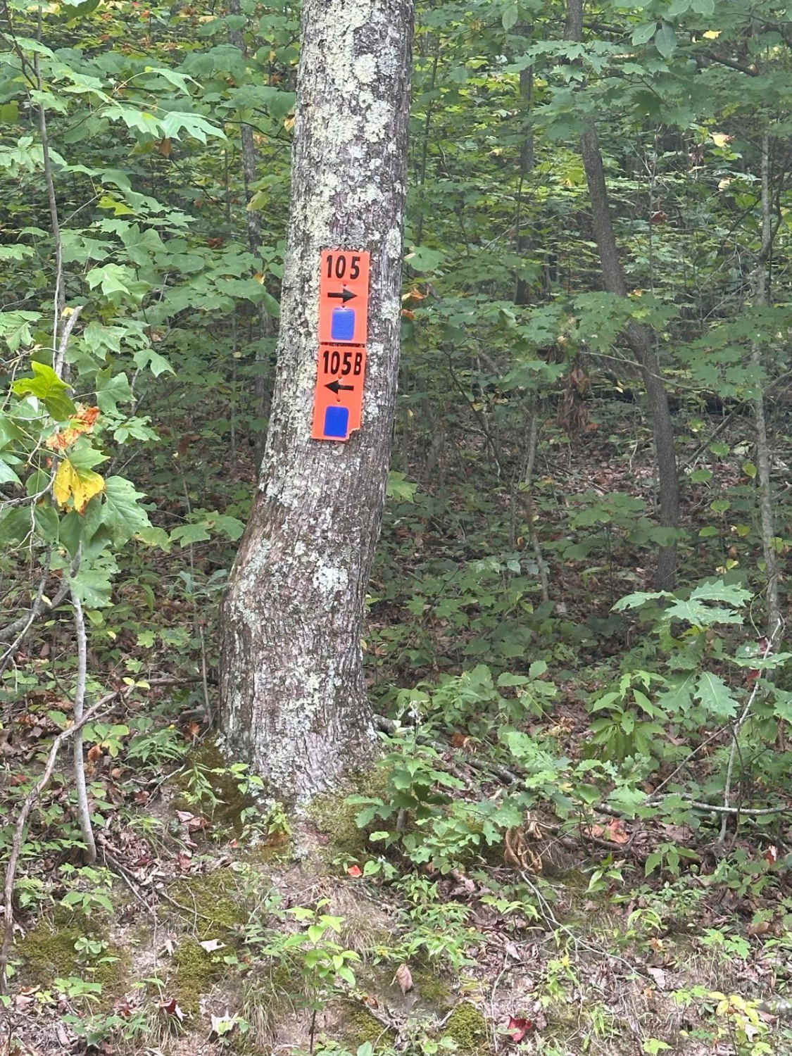 105B
