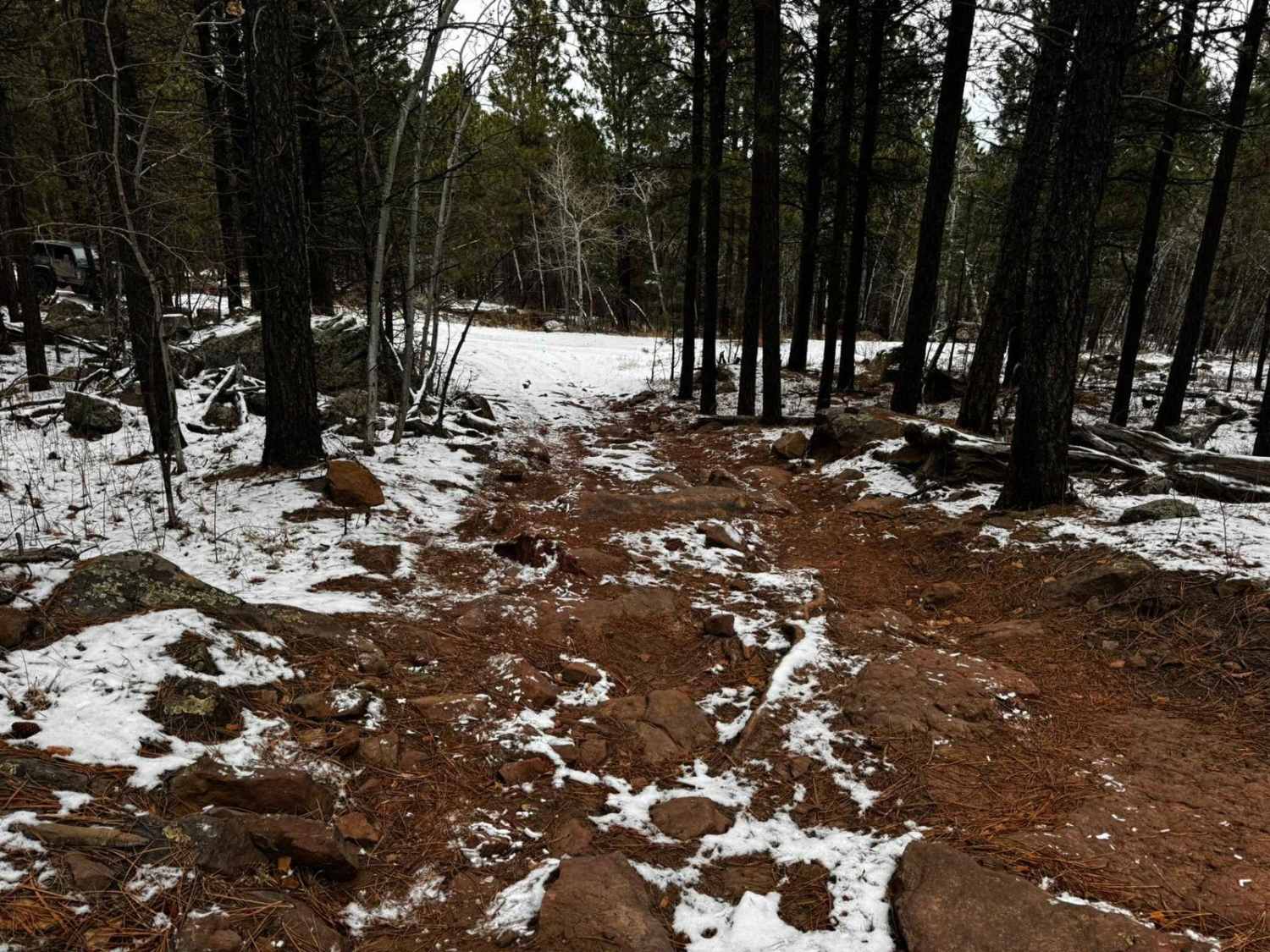 Bogus Mini Crawl 6311