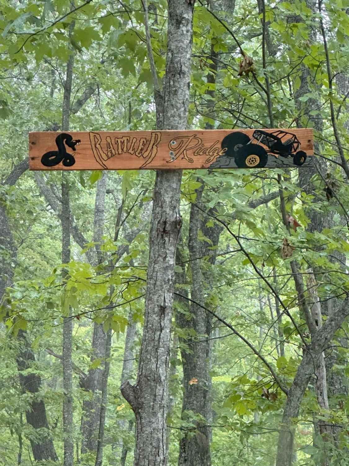 Rattler Ridge