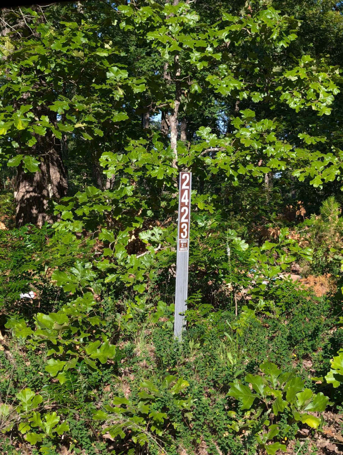 Old Tiff Mill - FSR 2423