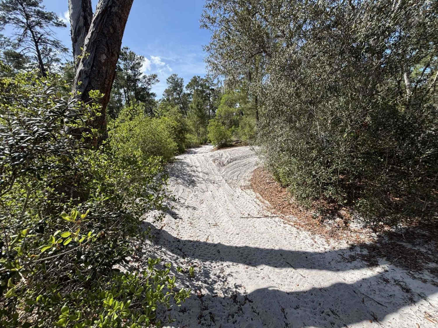 Barna/Sherriffs Department Trail