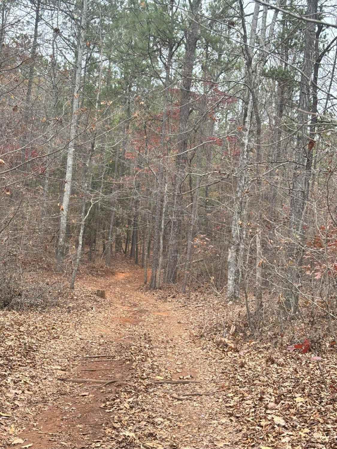 24B
