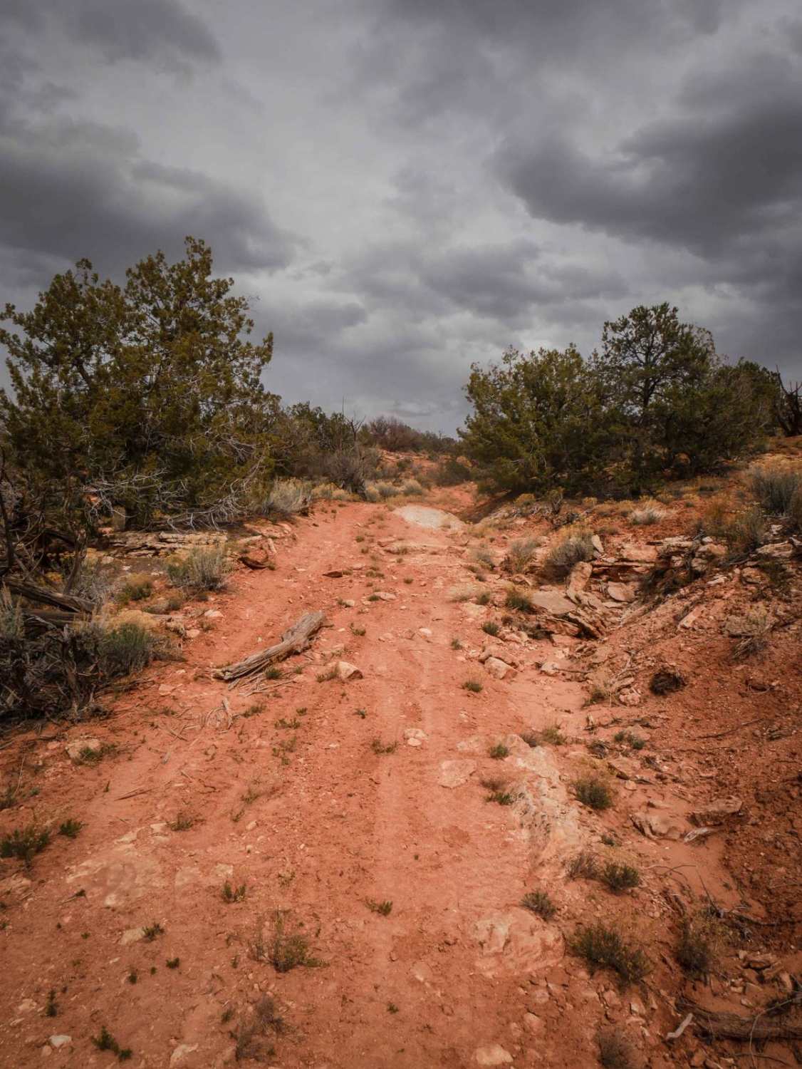 Fence Trail 