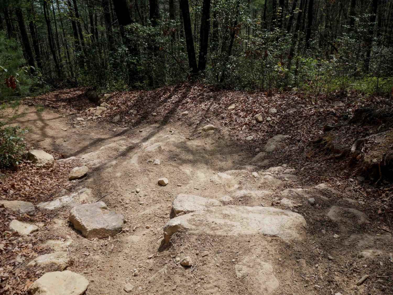 Trail 6 Miller Circle