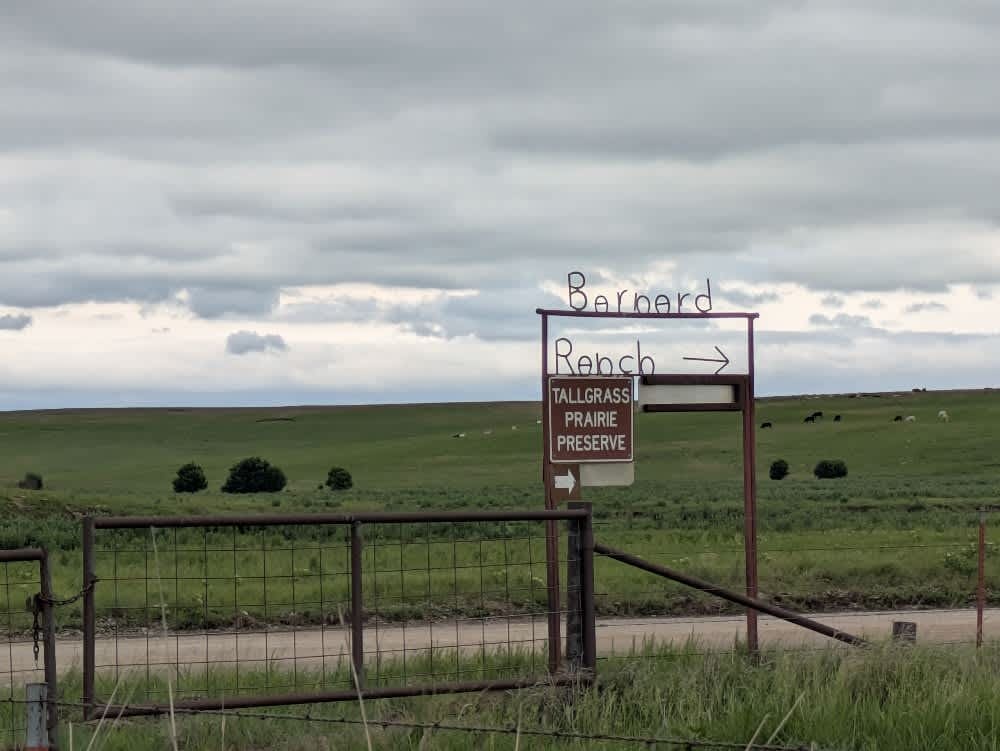 4650
