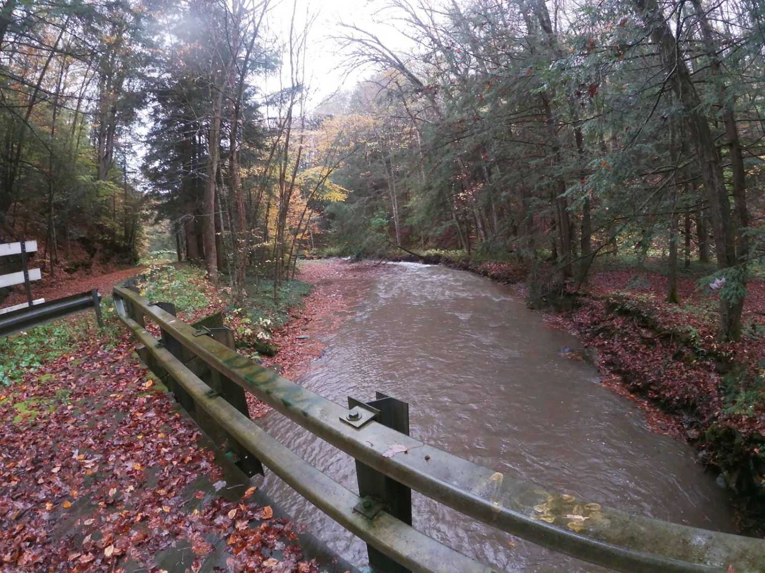 Carter Creek Road