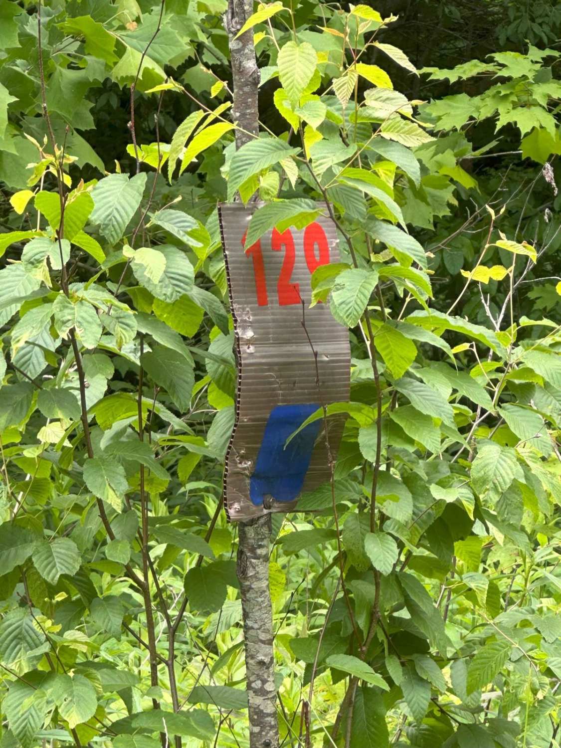 129